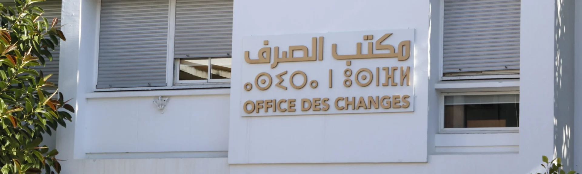 Office des Changes：IGOC 2026将为企业和投资者带来哪些变化